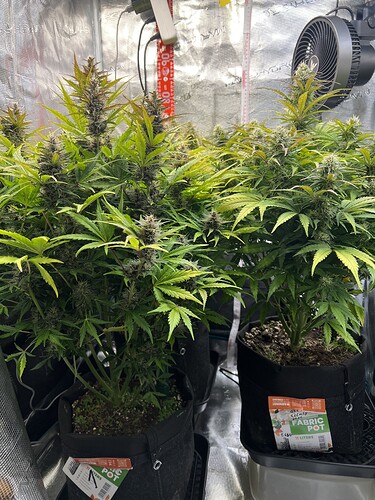 Growreport Bild 22