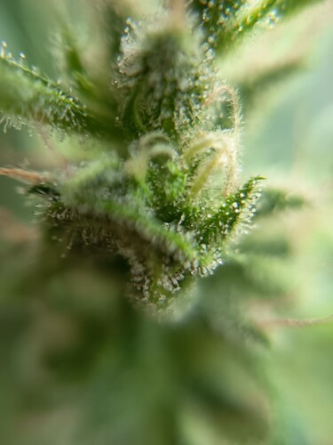 Growreport Bild 16