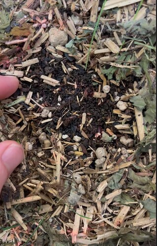 Growreport Bild 20