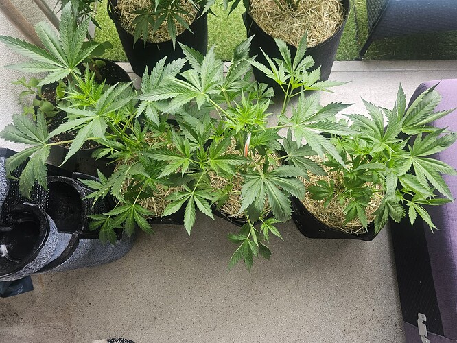 Growreport Bild 12