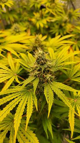 Growreport Bild 10