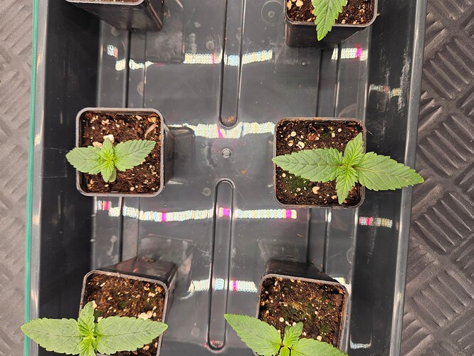 Growreport Bild 17