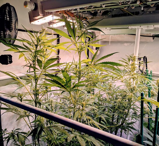 Growreport Bild 3