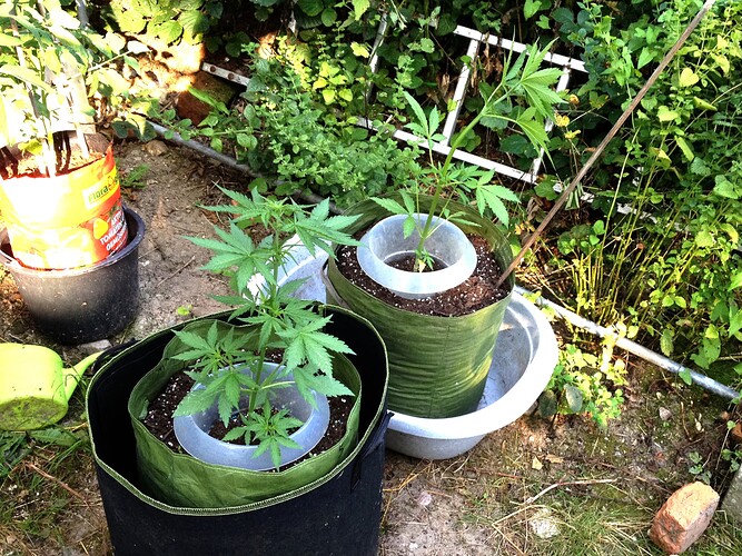 Growreport Bild 1