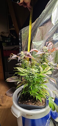 Growreport Bild 23