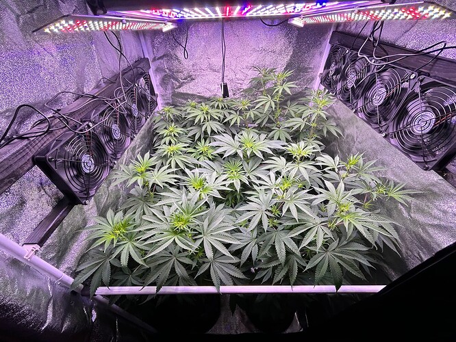 Growreport Bild 25