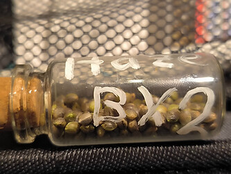 Growreport Bild 9