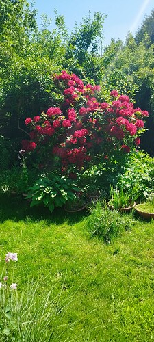 Growreport Bild 4