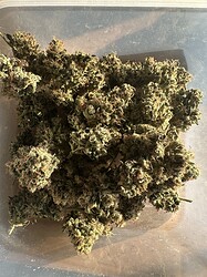 Growreport Bild 12