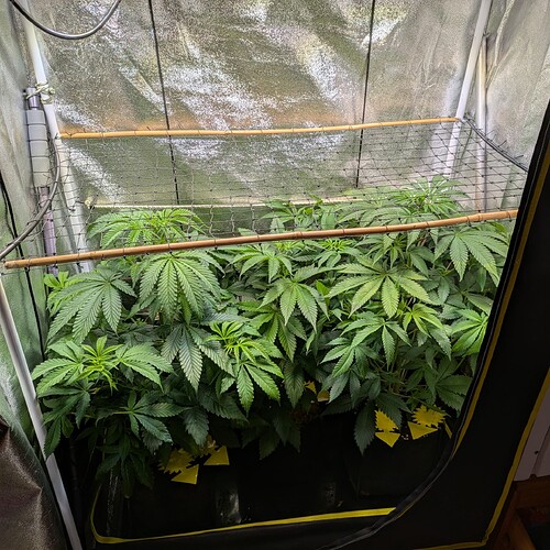 Growreport Bild 15