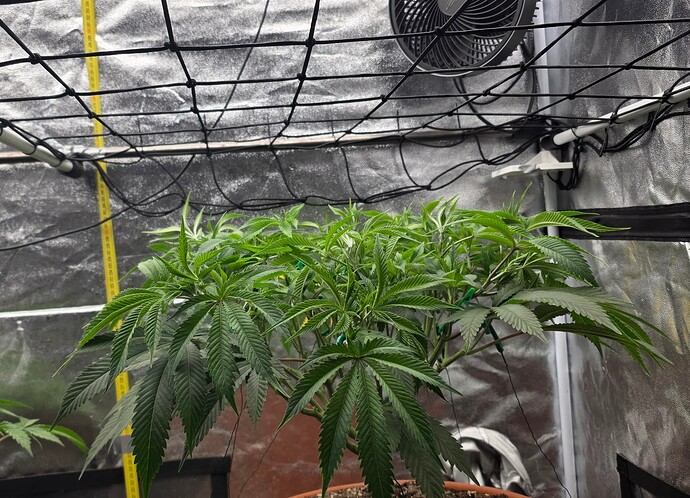 Growreport Bild 4