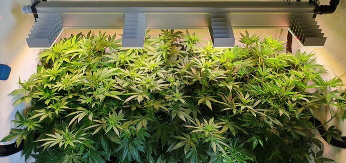 Growreport Bild 10