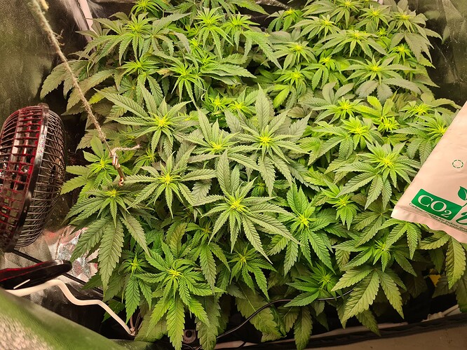 Growreport Bild 1