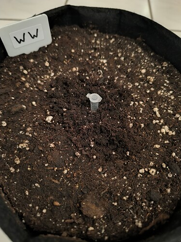 Growreport Bild 36