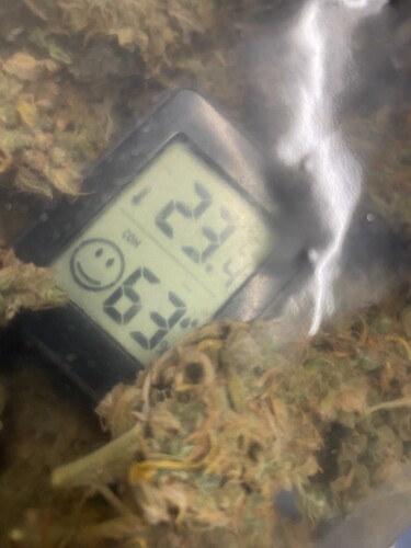 Growreport Bild 46