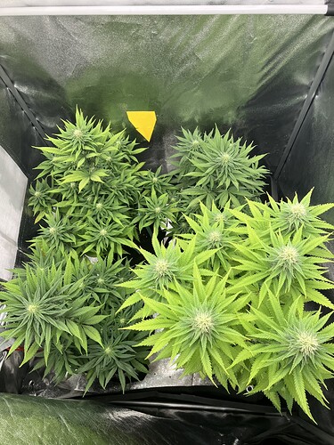 Growreport Bild 2