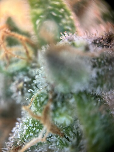 Growreport Bild 10