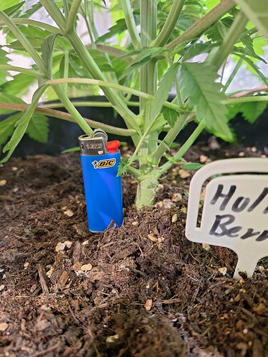 Growreport Bild 23