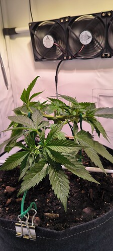 Growreport Bild 11