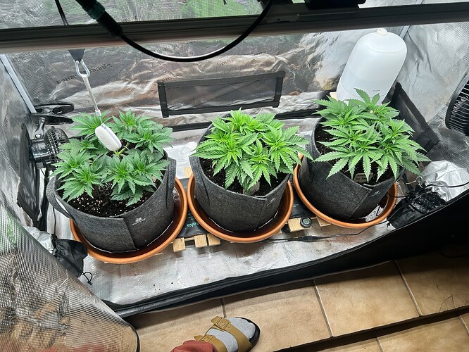 Growreport Bild 21