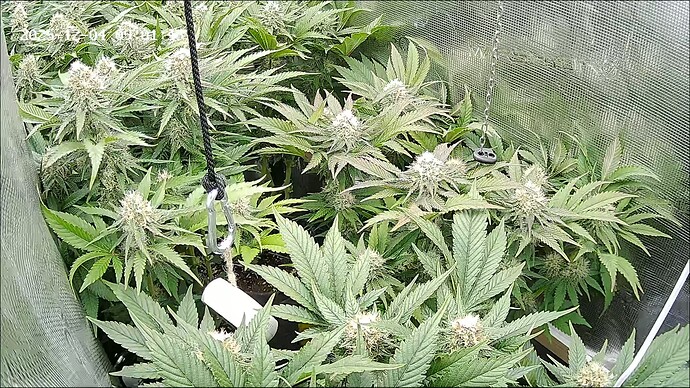 Growreport Bild 10