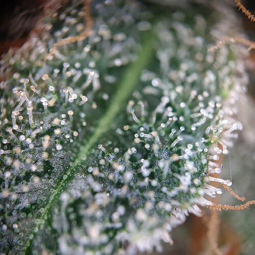 Growreport Bild 22