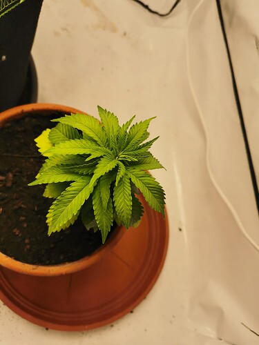 Growreport Bild 9