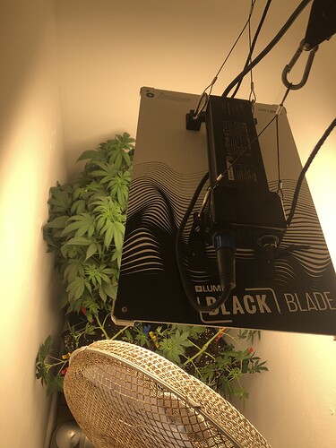 Growreport Bild 21