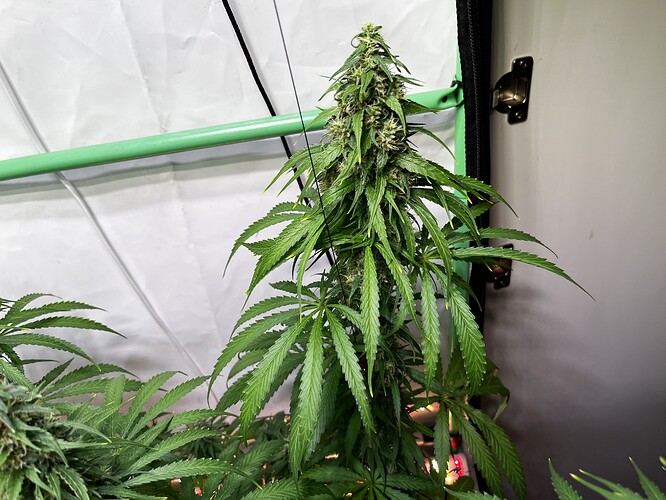Growreport Bild 10