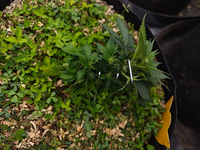 Growreport Bild 21