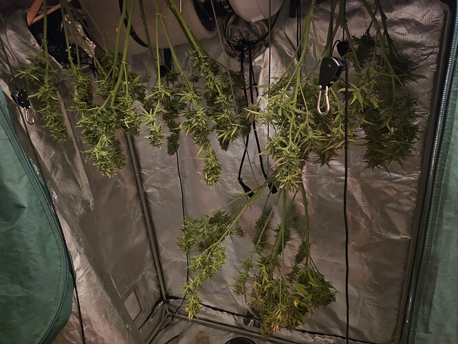 Growreport Bild 16
