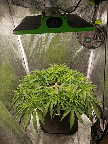 Growreport Bild 4