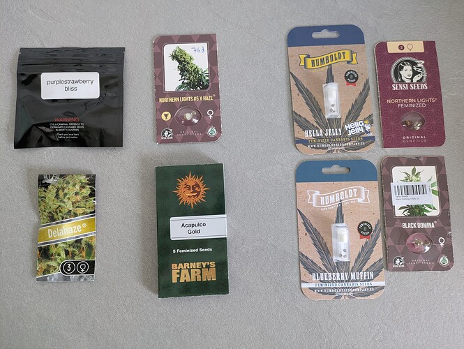 Growreport Bild 14