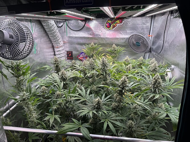 Growreport Bild 1