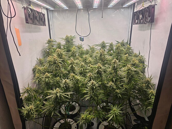 Growreport Bild 1