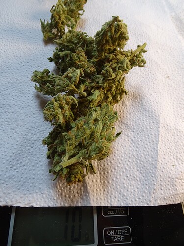 Growreport Bild 8