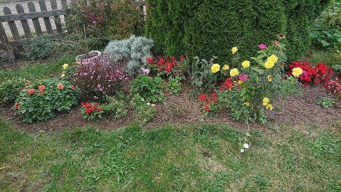 Growreport Bild 13