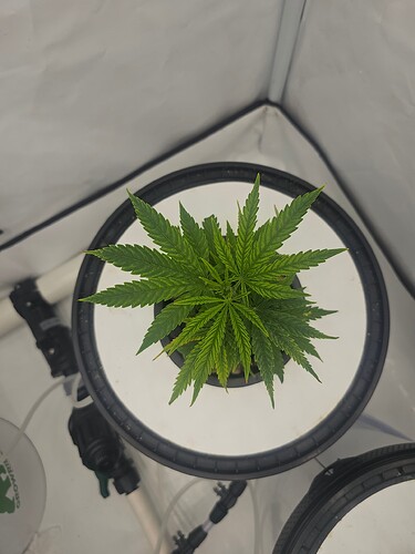 Growreport Bild 17