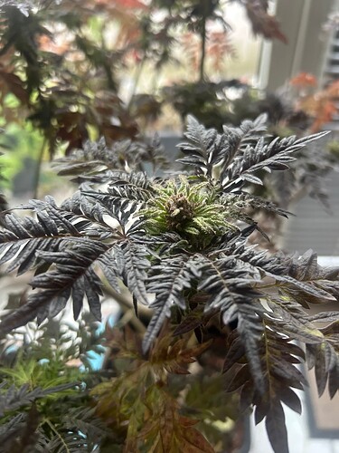 Growreport Bild 12