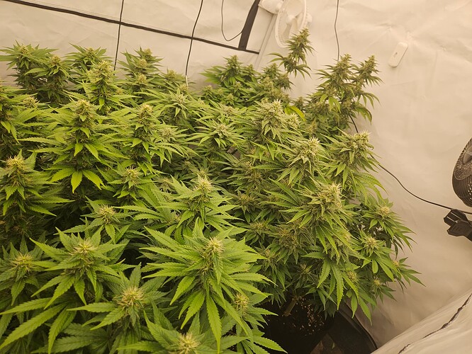 Growreport Bild 10
