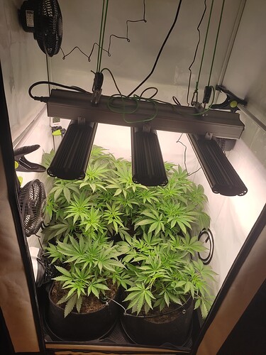 Growreport Bild 10