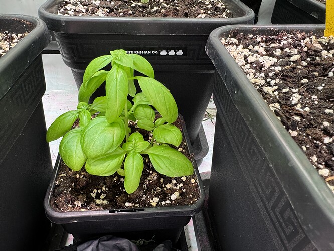 Growreport Bild 25