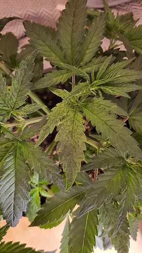 Growreport Bild 17
