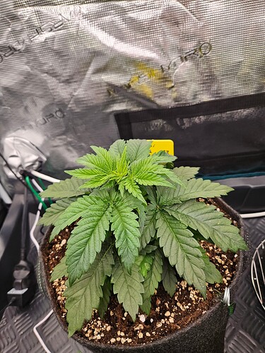 Growreport Bild 30