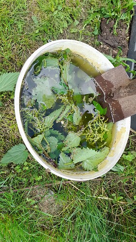 Growreport Bild 27