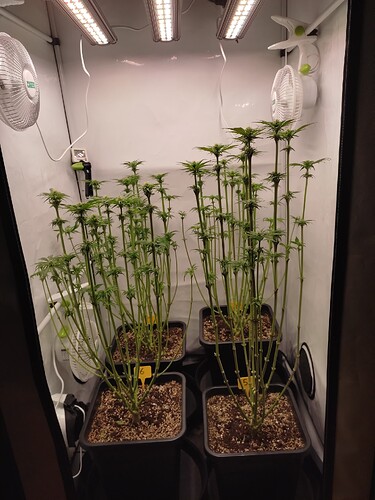 Growreport Bild 23