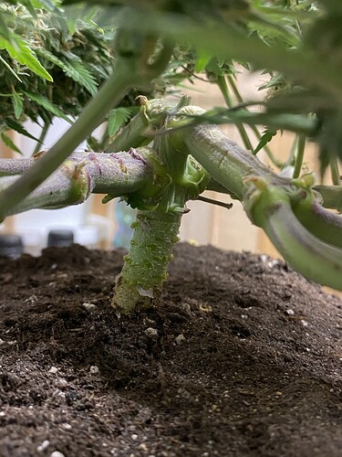 Growreport Bild 49