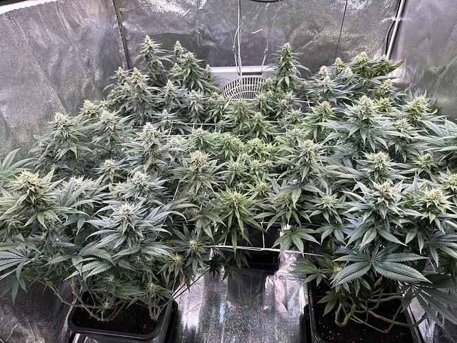 Growreport Bild 23