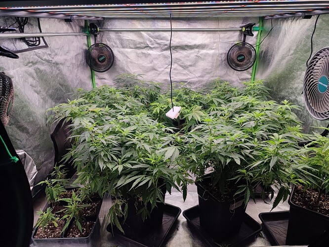 Growreport Bild 16