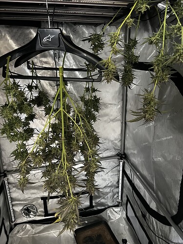 Growreport Bild 1